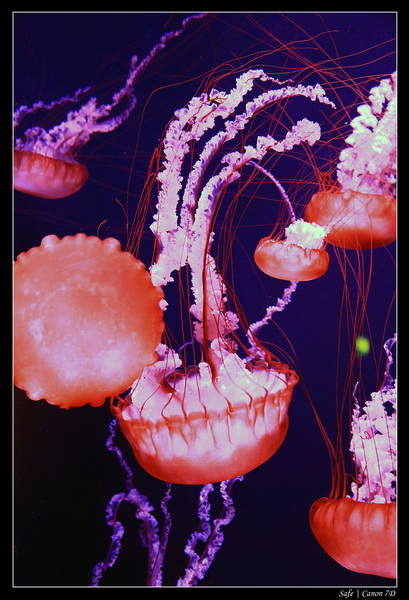 2012 - 06 - Dubai - 053